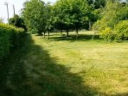 terrain constructible à côté de caro