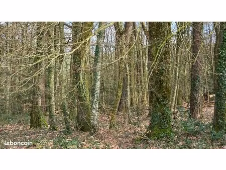 terrain non constructible