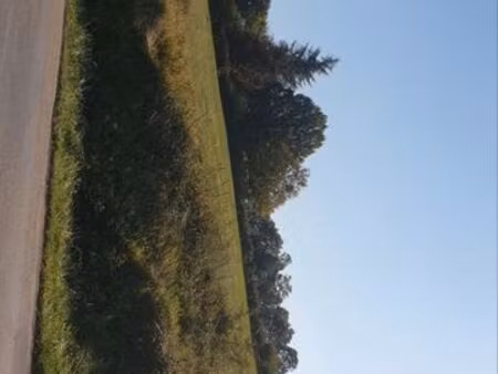 terrain a