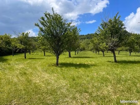 verger exceptionnel 1 3 ha – 200 arbres fruitiers – côtes de meuse