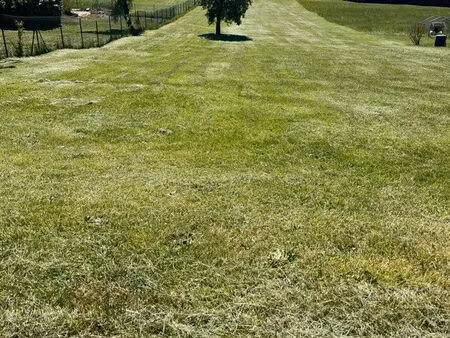 terrain hoelling