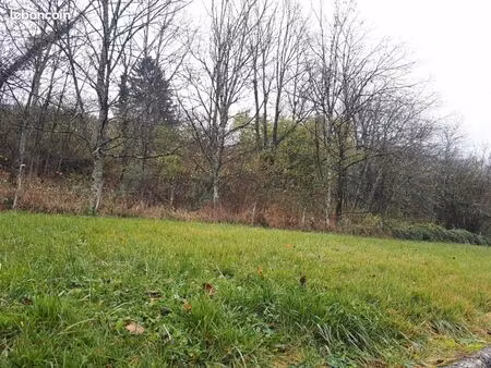 terrain à louer pour potager / loisirs / apiculture...