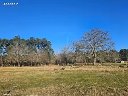 terrain 1280 m² mios