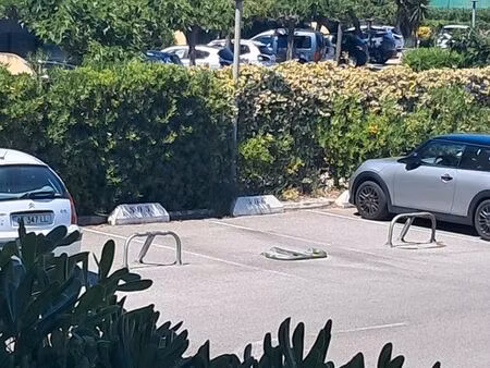 place de parking sécurisée dans résidence