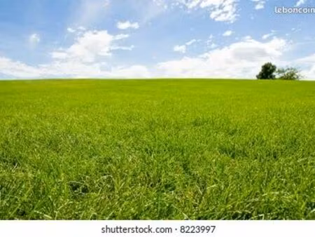 particulier recherche terrain ou maison