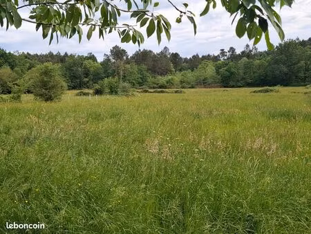 terrain prairie et bois