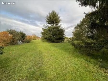 terrain constructible