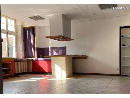appartement rdc maison bourgeoise ouvert sur jardin