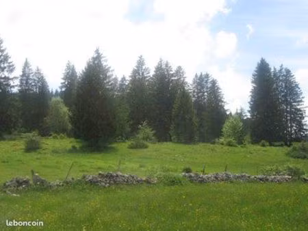 recherche pré ou pré-bois