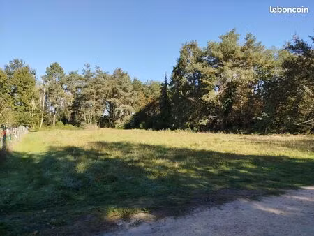 grand terrain constructible
