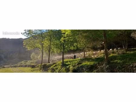 recherche location le vigan et alentours