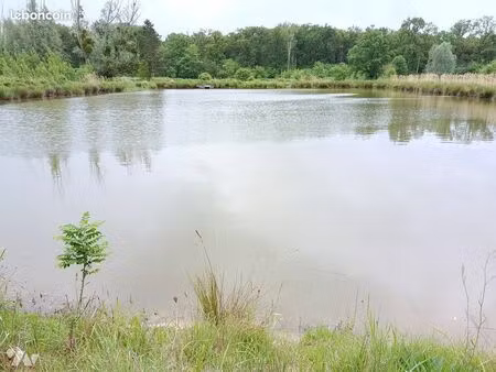 terrain 11250 m² contres