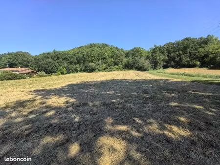 terrain 967 m² mauzac