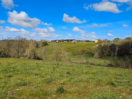 momuy (proche hagetmau) : a vendre - terrain de 9800 m2 dont 6156 m2 constructible 19500