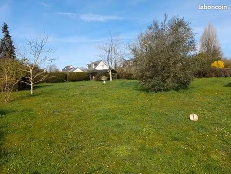 terrain constructible