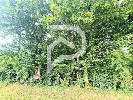 terrain 6071 m² meru