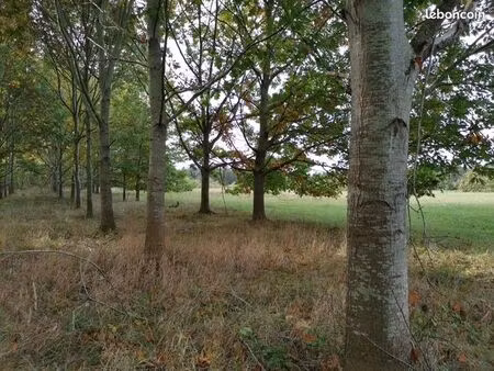 parcelles forestières 11 ha ...