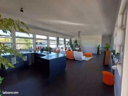 loft/atelier/surface 4 pièces 239 m²