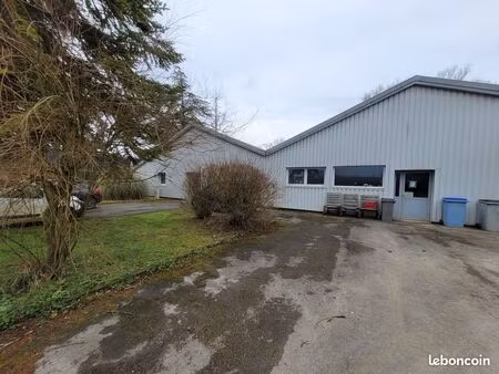 local 413 m² bletterans