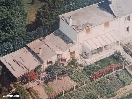 maison avec jardin et garage