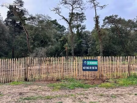 terrain 1121 m² sables d or les pins
