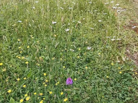 recherche pre prairie