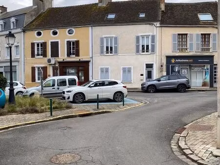 vente pro (murs) | immeuble | 2ch | 112 m² | puiseaux | jardin