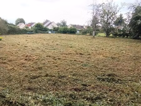 terrain constructible