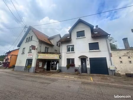 immeuble 383 m² baerenthal