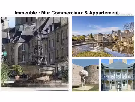 immeuble dont murs commerciaux   appartement & cave