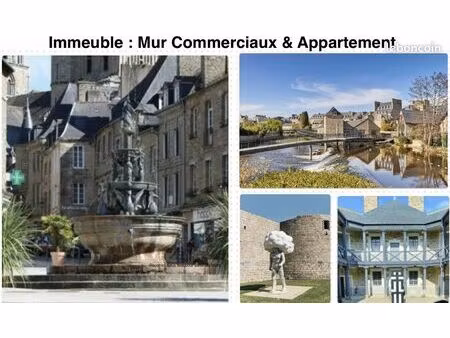 immeuble murs commerciaux 70 m²  cave & appartement