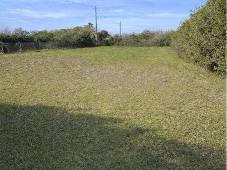 terrain 500m