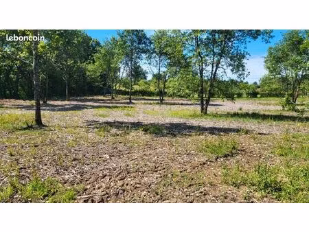 terrain constructible