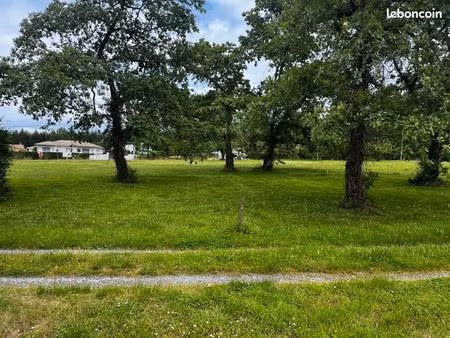 terrain langon 1164 m²