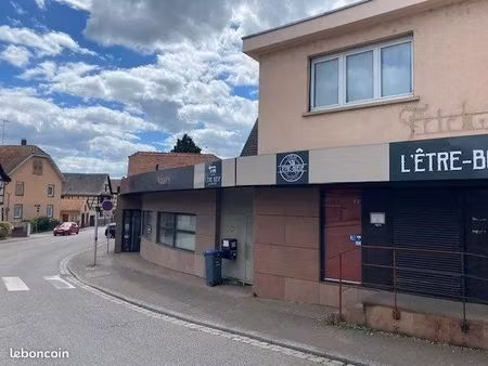 local commercial 554 m² eckbolsheim