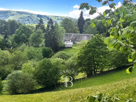 maison de luxe à vendre à trémouille
