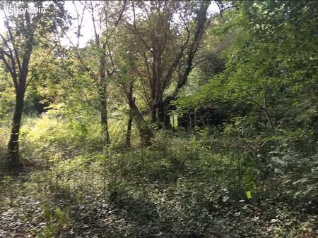 proche vieux-boucau-les-bains  landes. vends terrain de 3401 m2 dont 700 m2 constructibles