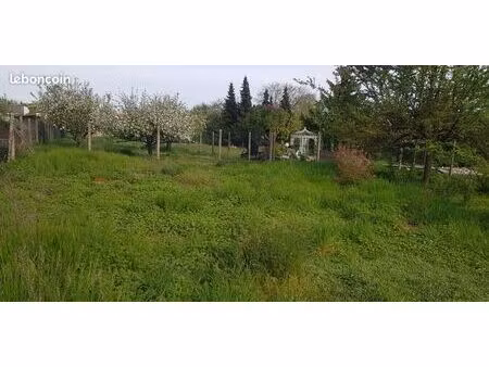 tb terrain fegersheim 430m2