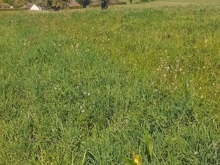 terrain à bâtir