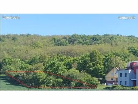 terrain de loisirs arboré