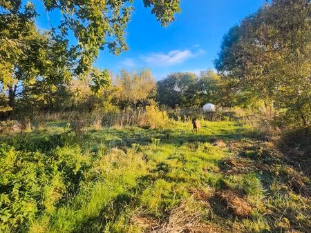 cherche terrain agricole