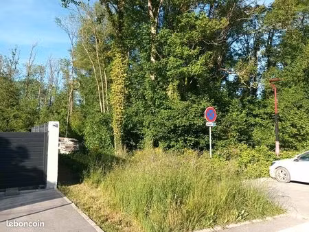 bois warmeriville
