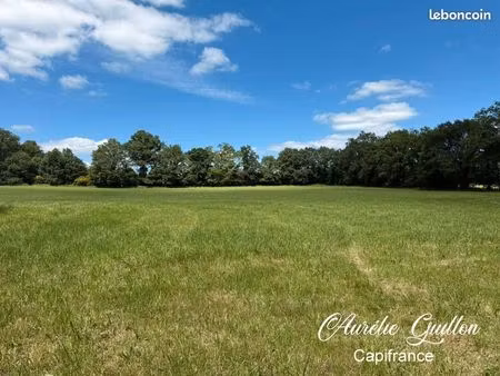 terrain 19 808 m² campeneac