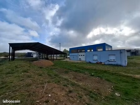 local d'activité 990 m²