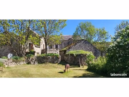 rare -causse mejean - ensemble en pierre de 3 habitations