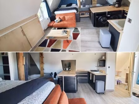 studio indépendant vue sur loire - bail étudiant