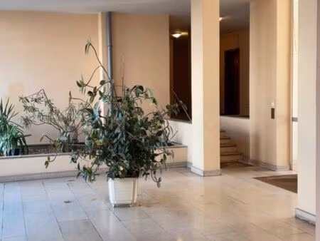 appartement 1 pièce