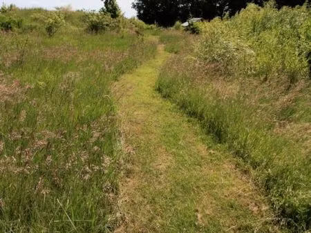 recherche terrain à louer