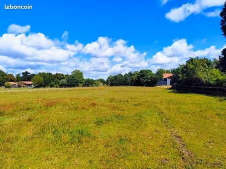 terrain : 1 771 m2