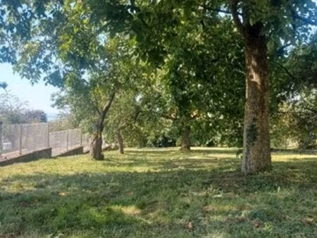 terrain constructible